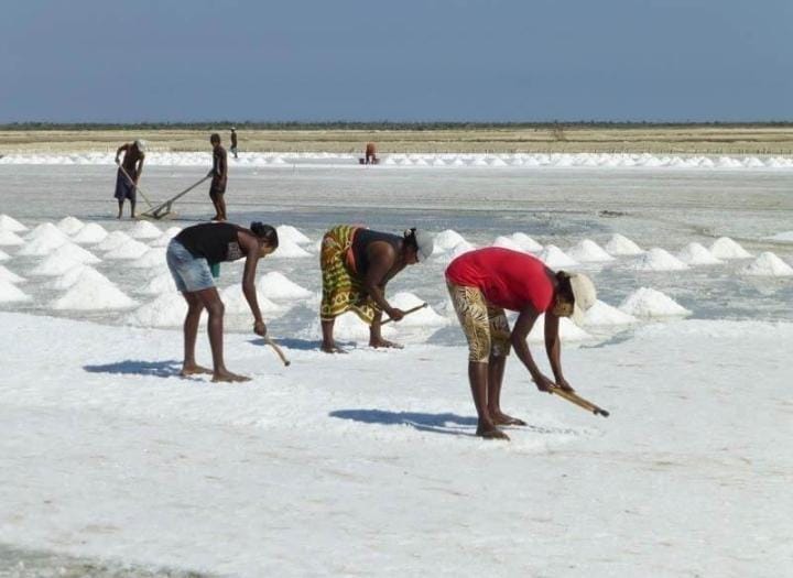 Gongoni Salt Refinery